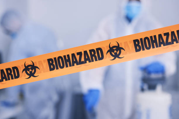 Professional Hoarding Cleanup technician working in Bothell, WA